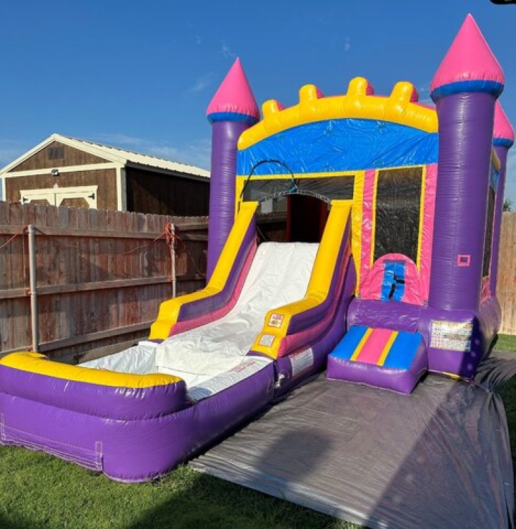 Princess Combo Waterslide